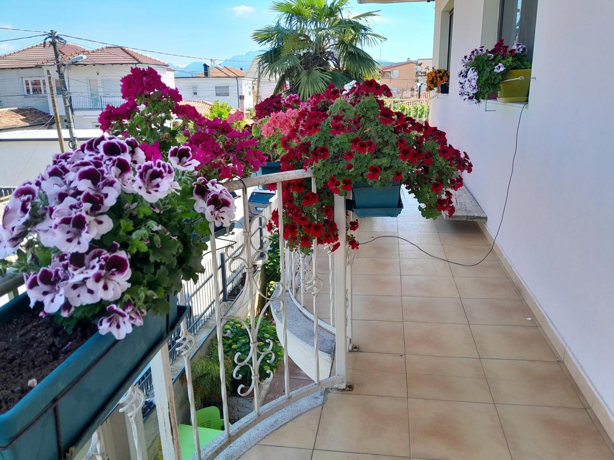 Blissful Hostel Shkodër Esterno foto